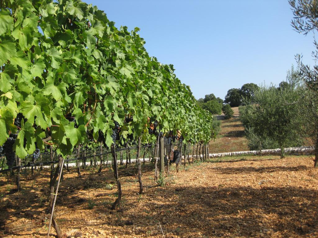 Truddhi Casa E Cucina Di Puglia Locorotondo