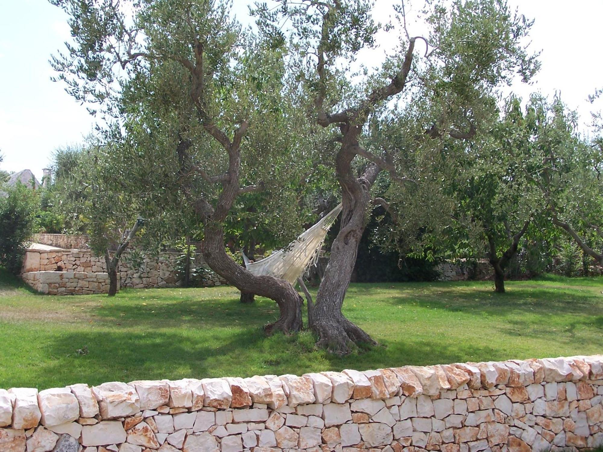 Truddhi Casa E Cucina Di Puglia Locorotondo